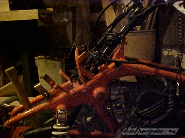 Photo 127386