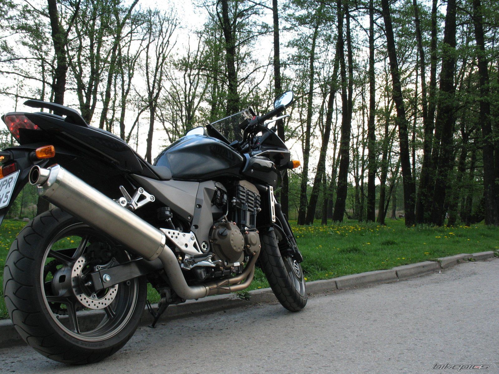 Photo 1273876