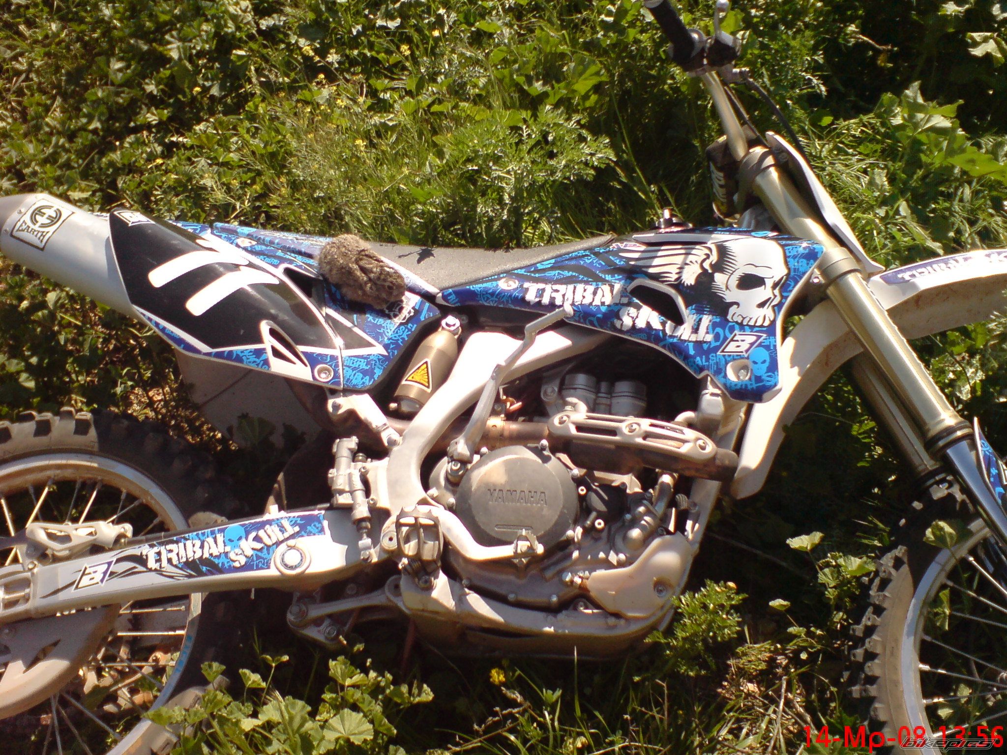 Photo 1273894