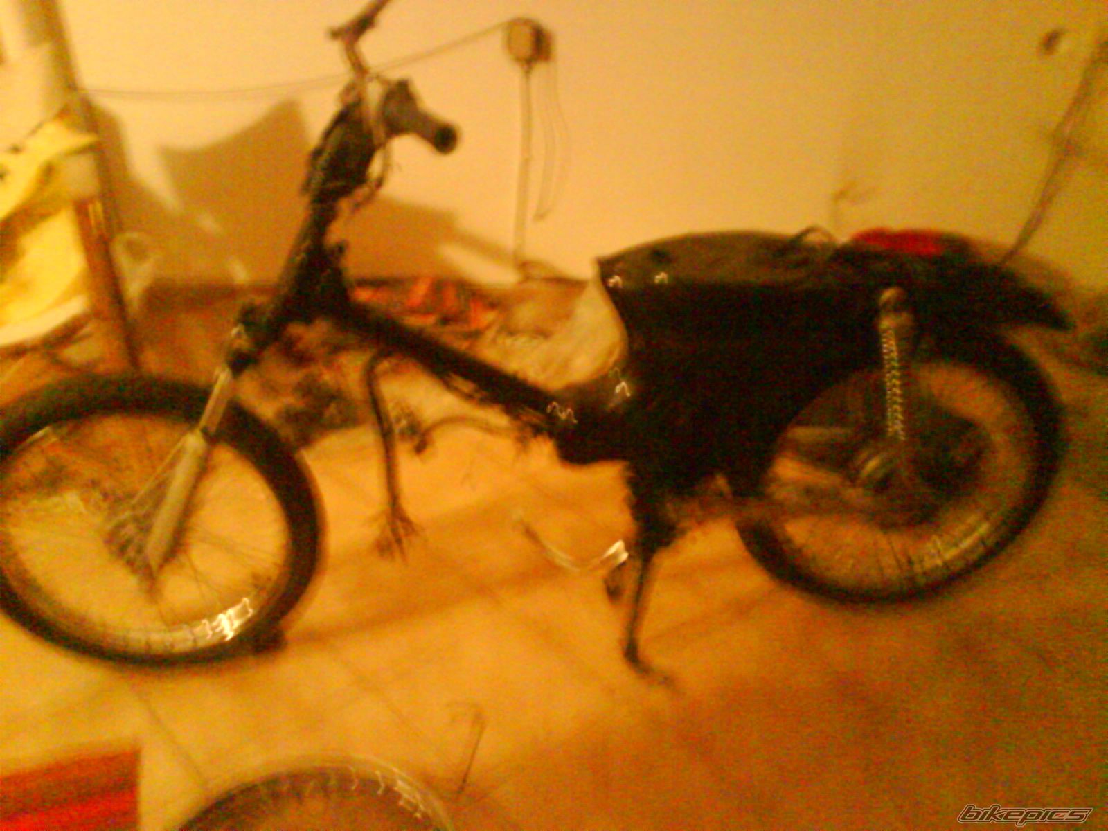 Photo 1273933
