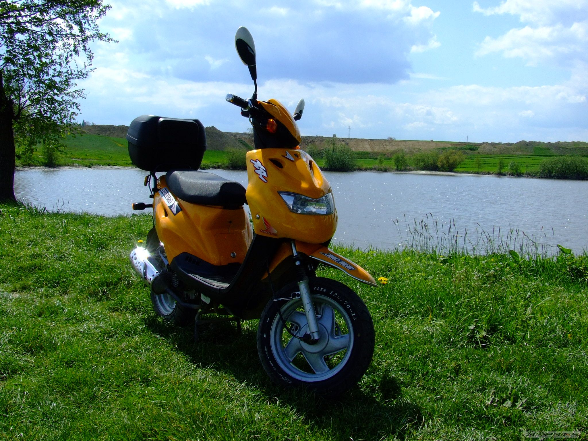 Photo 1273950