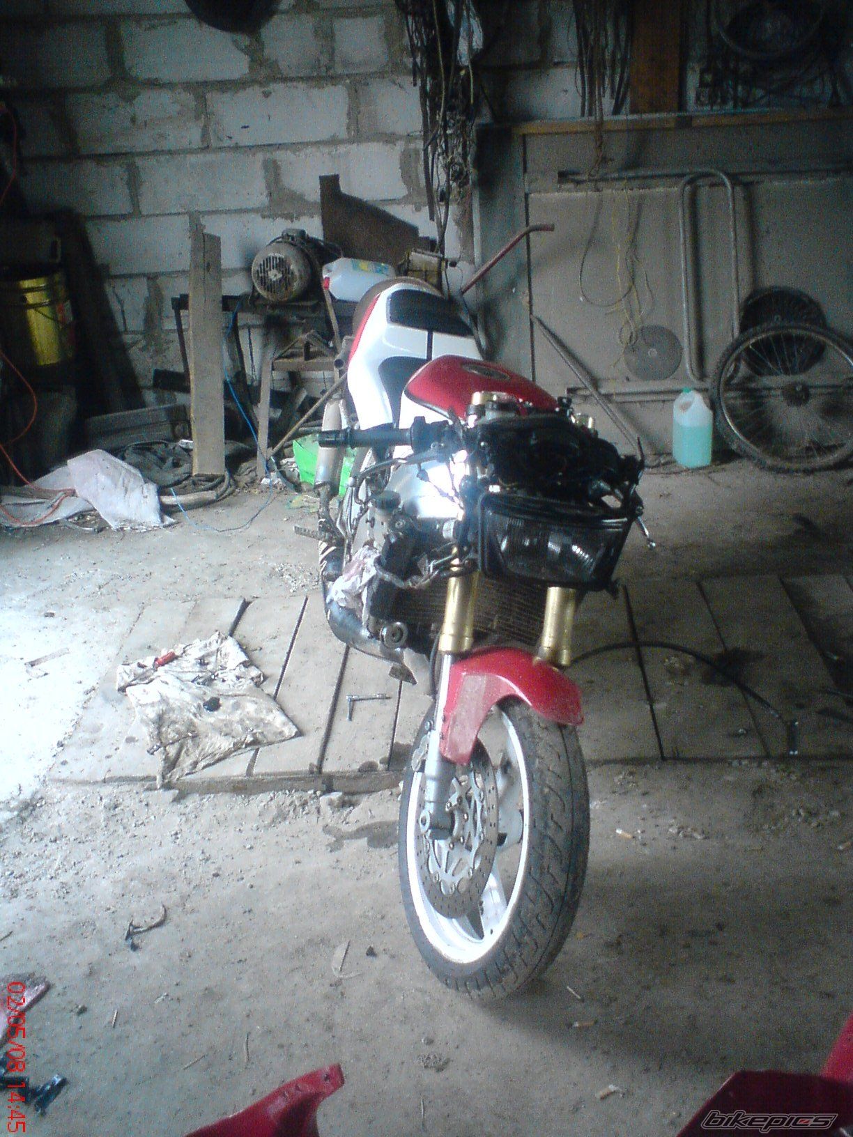 Photo 1273974