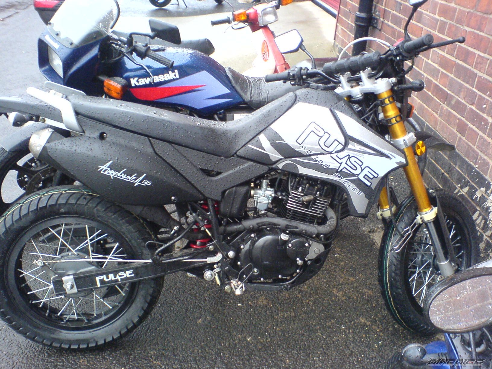 Photo 1274022