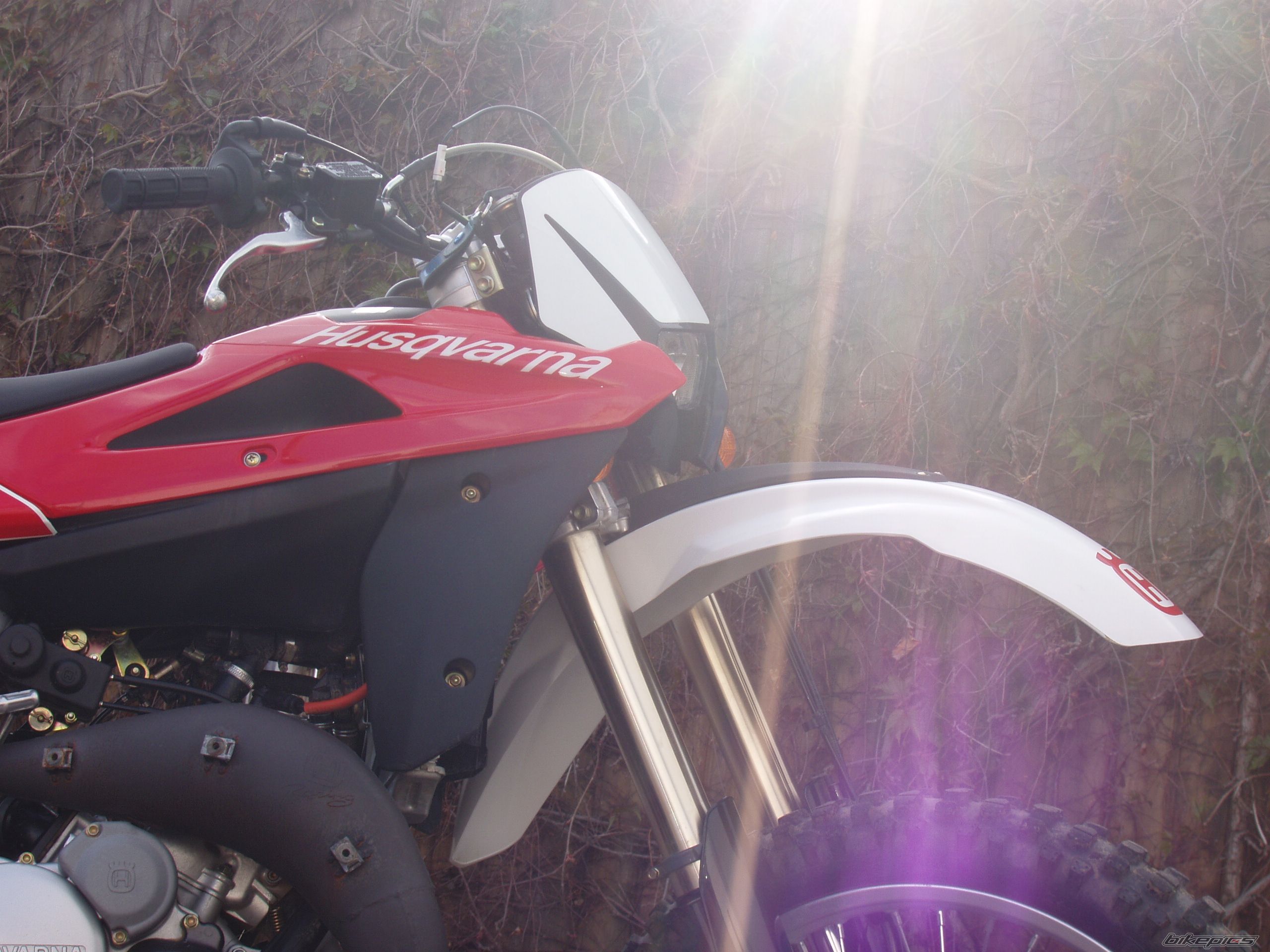 Photo 1274149