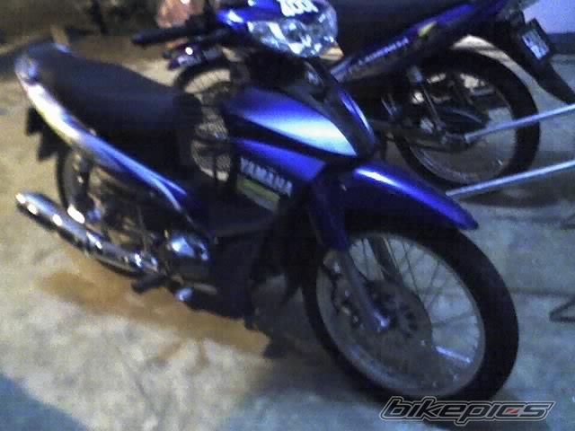 Photo 1274157