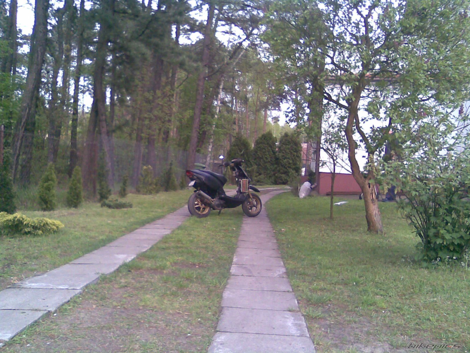 Photo 1274171