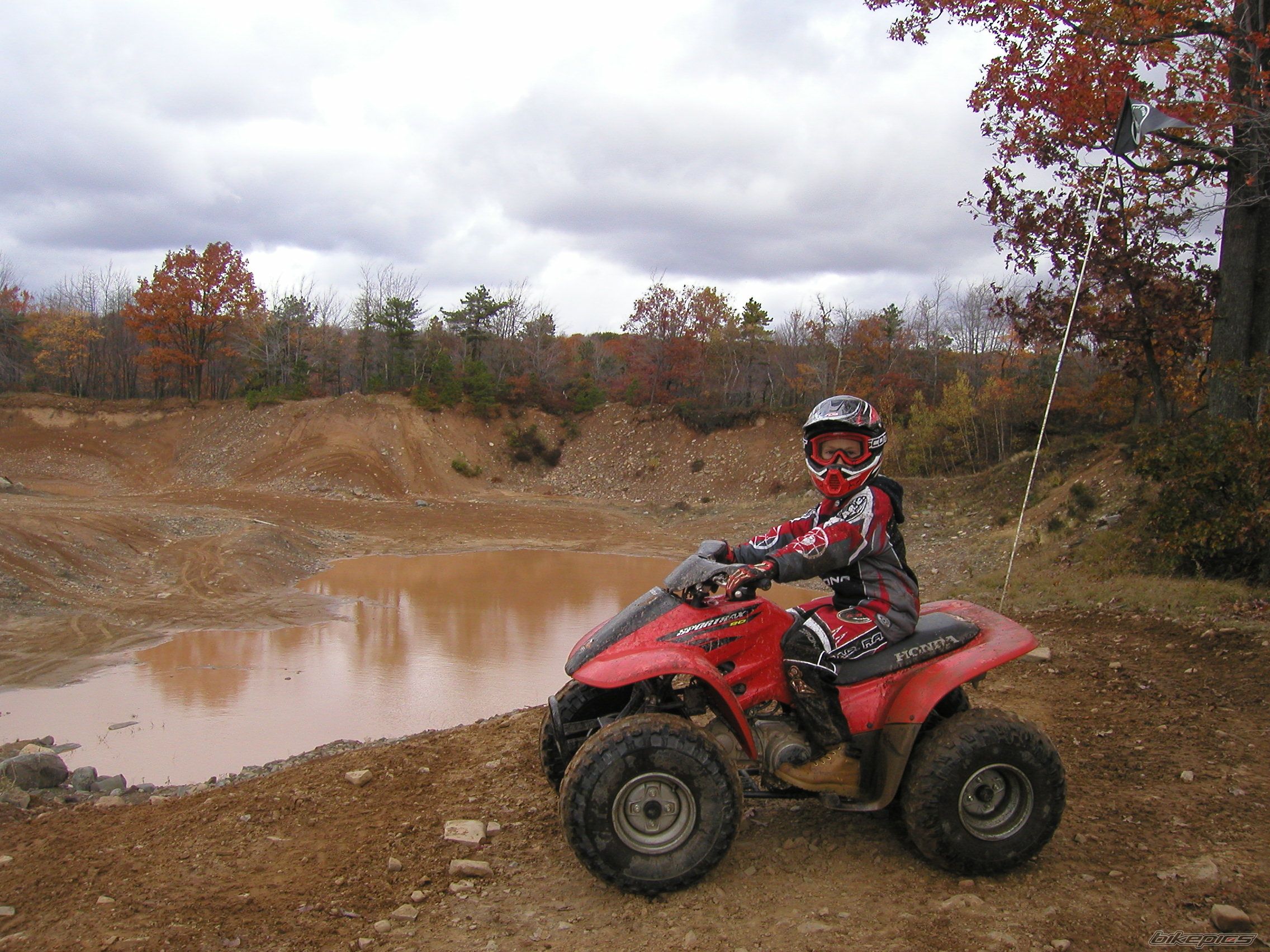 Photo 1274183
