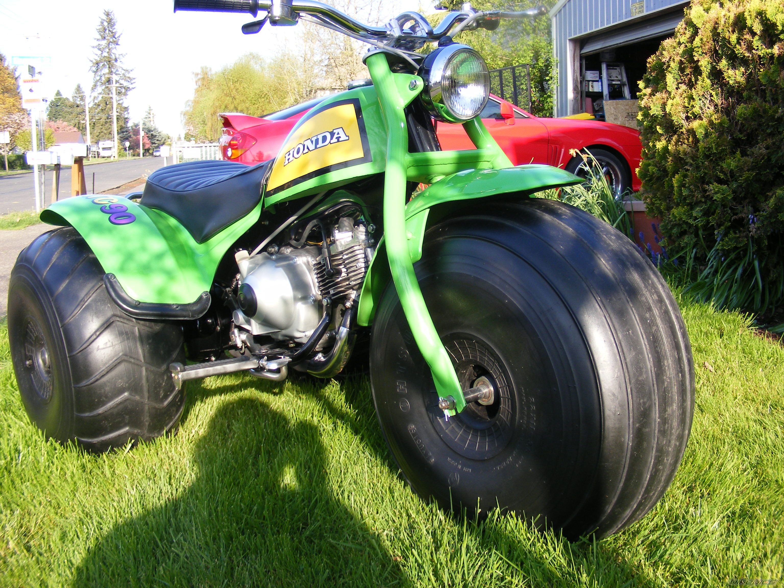 Photo 1274201