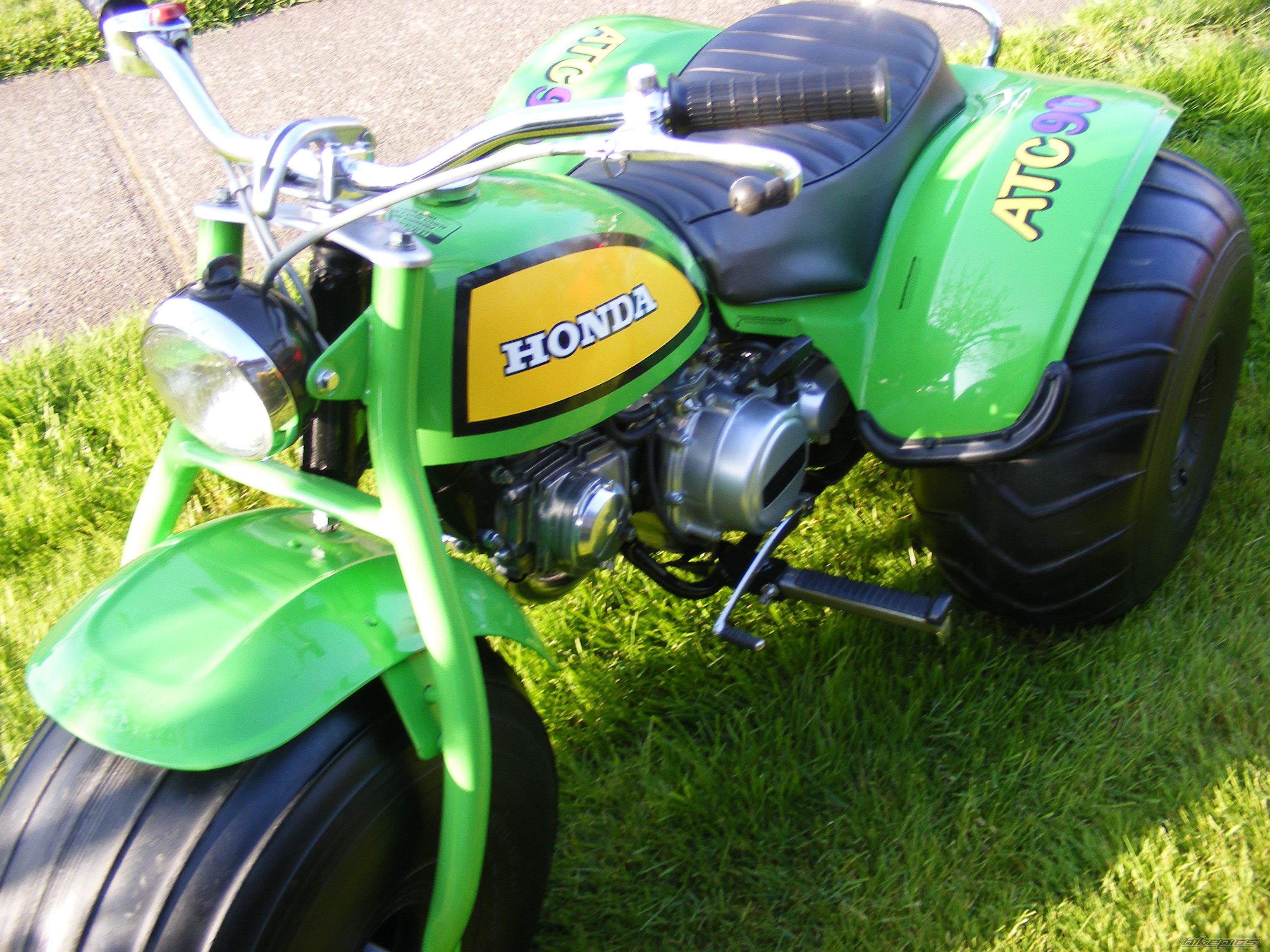 Photo 1274203