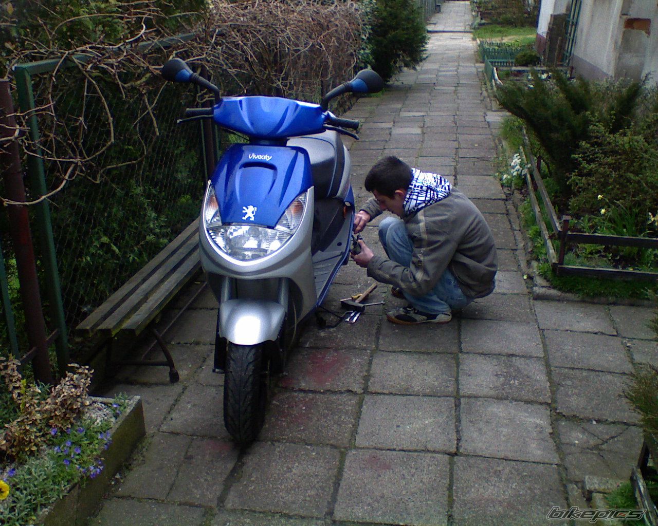 Photo 1274223