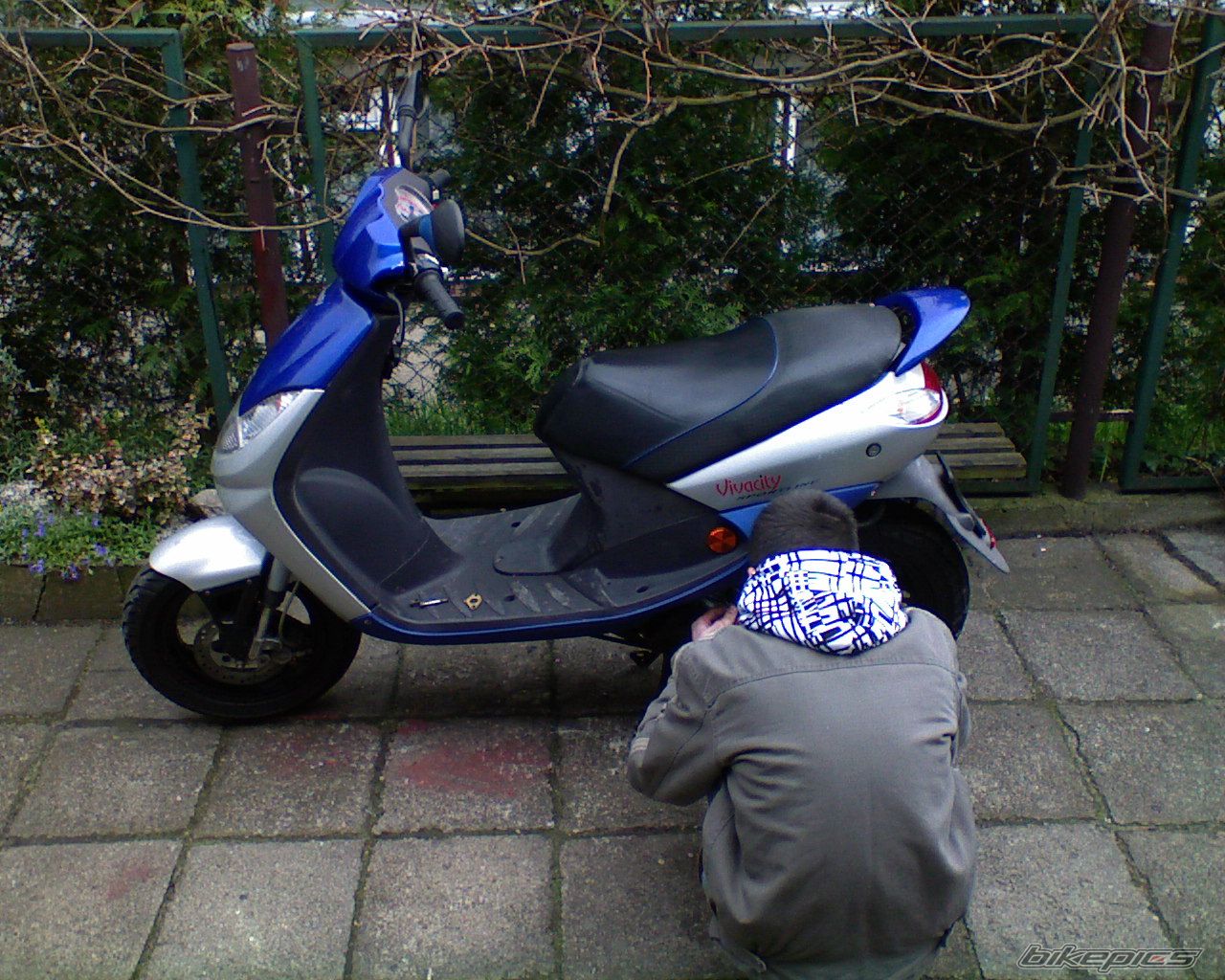 Photo 1274226