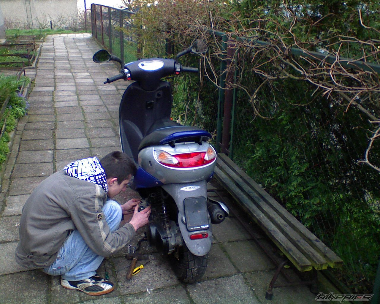 Photo 1274228