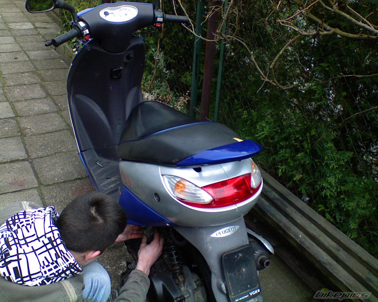 Photo 1274230