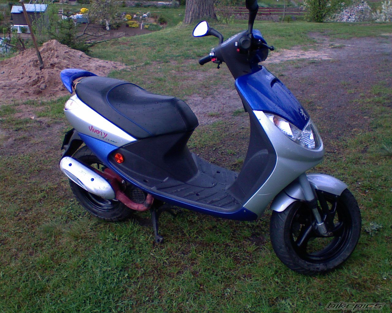 Photo 1274233
