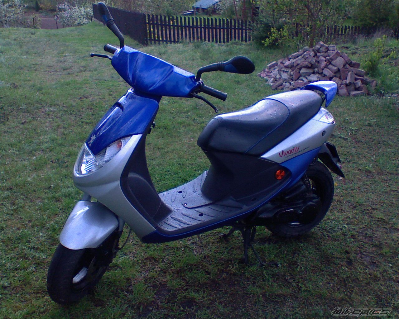 Photo 1274236