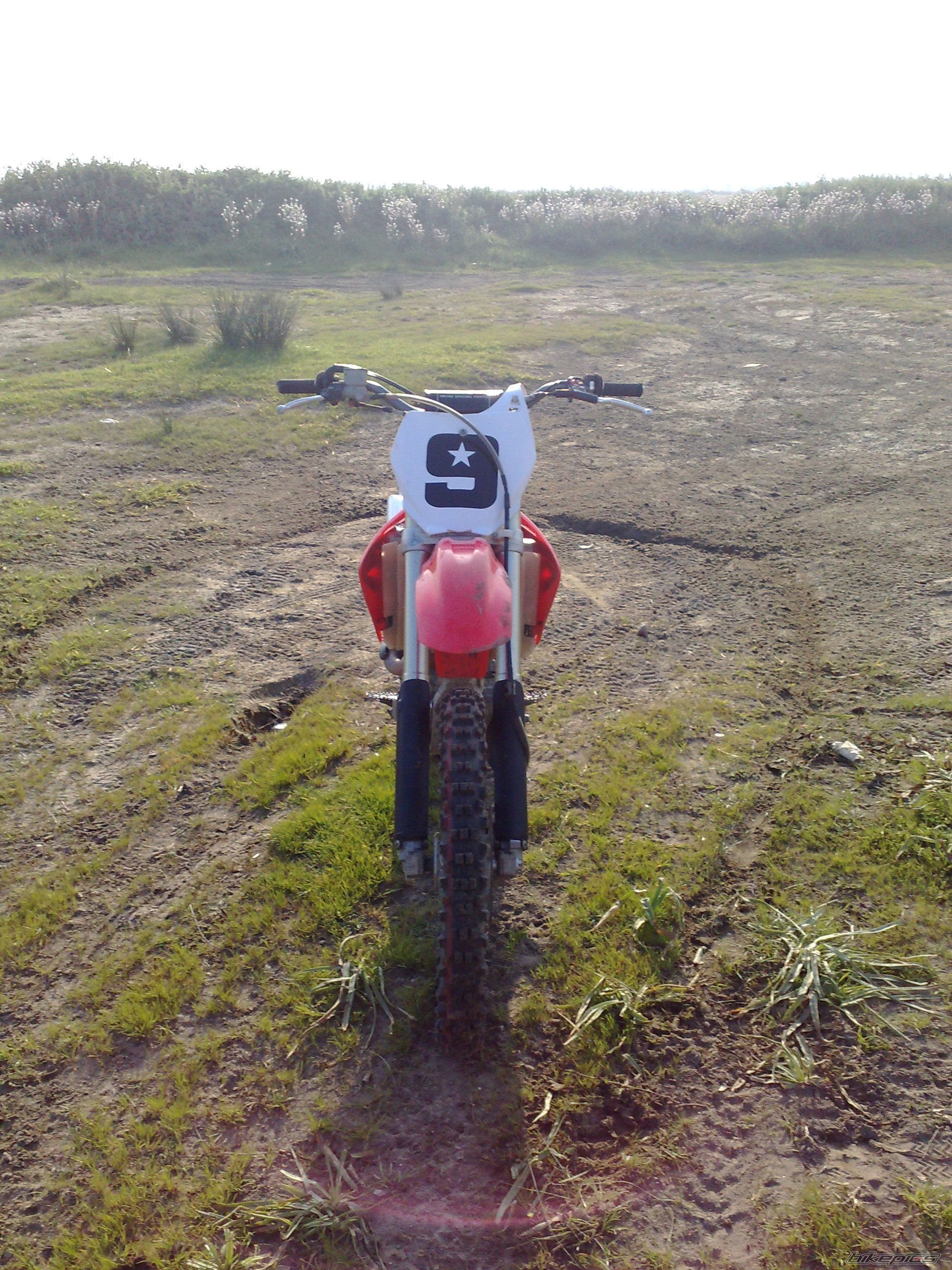 Photo 1274286