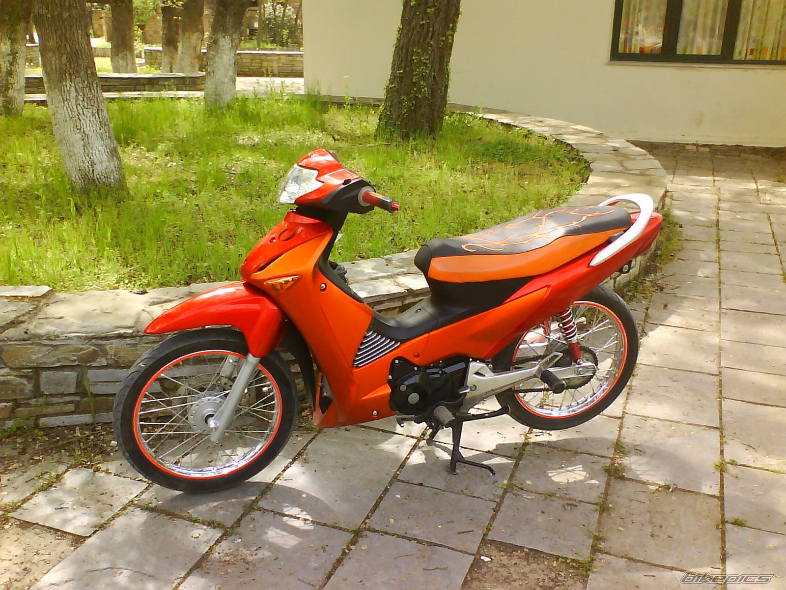 Photo 1274358