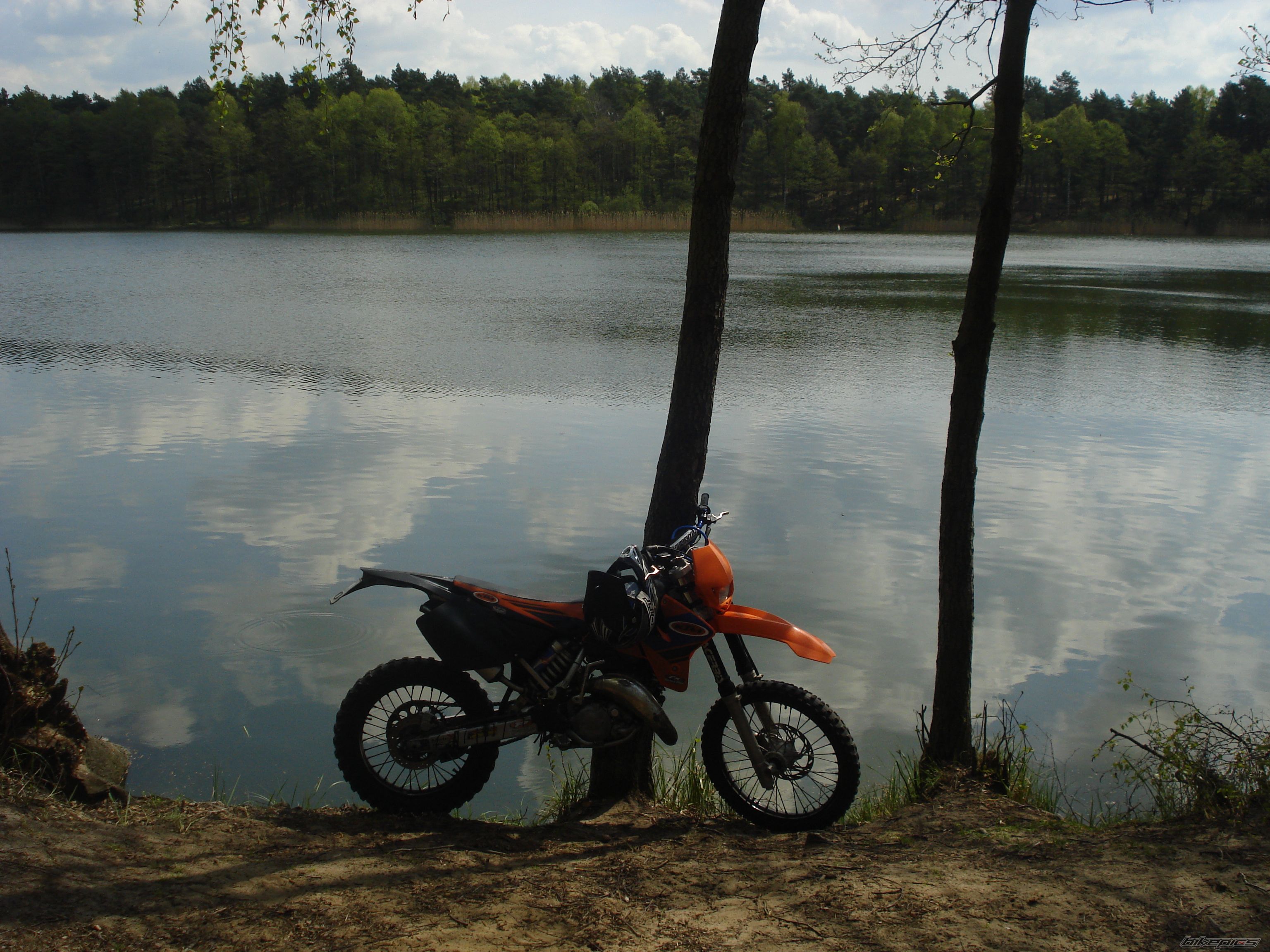 Photo 1274384