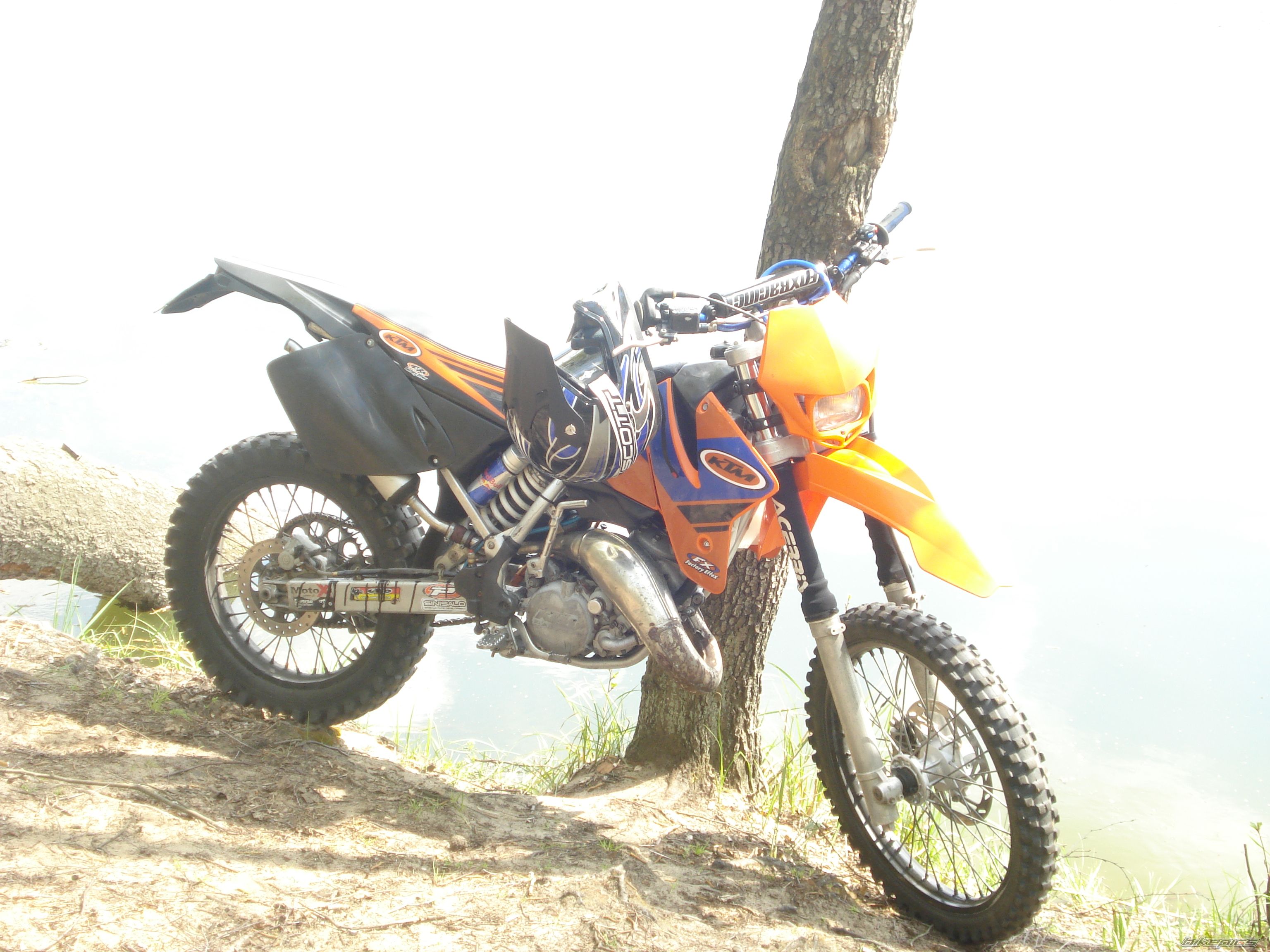 Photo 1274391