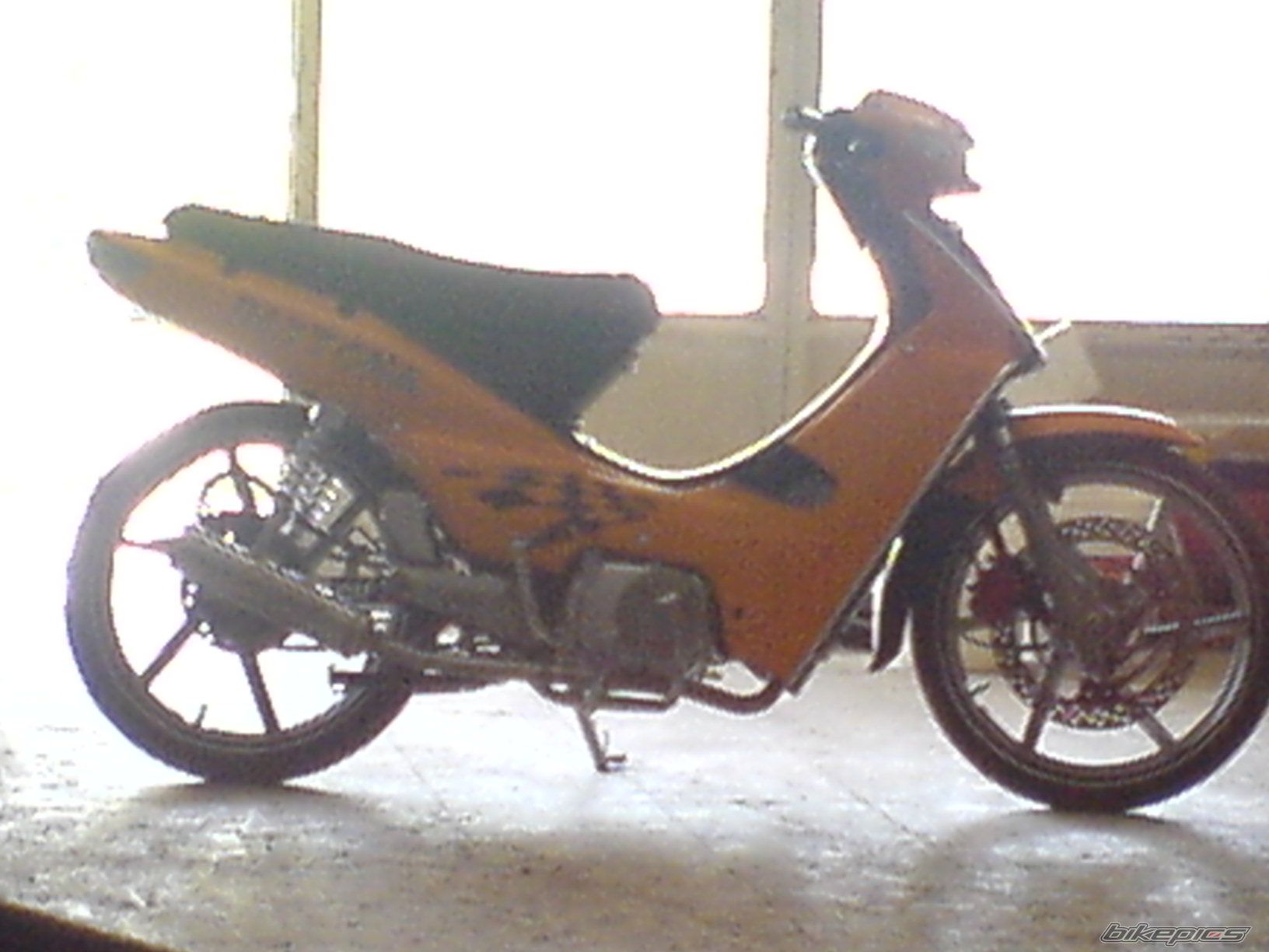 Photo 1274402