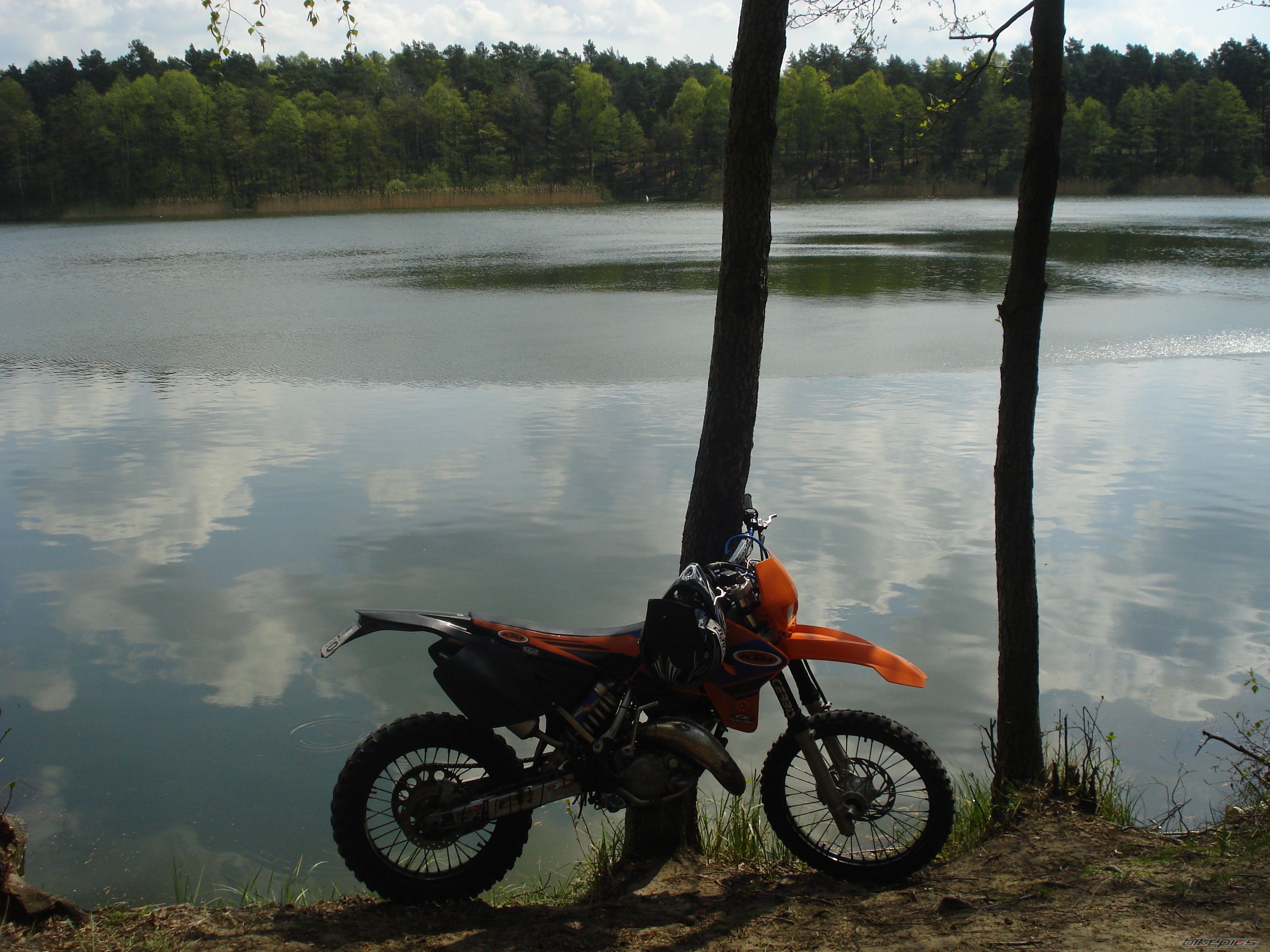 Photo 1274417