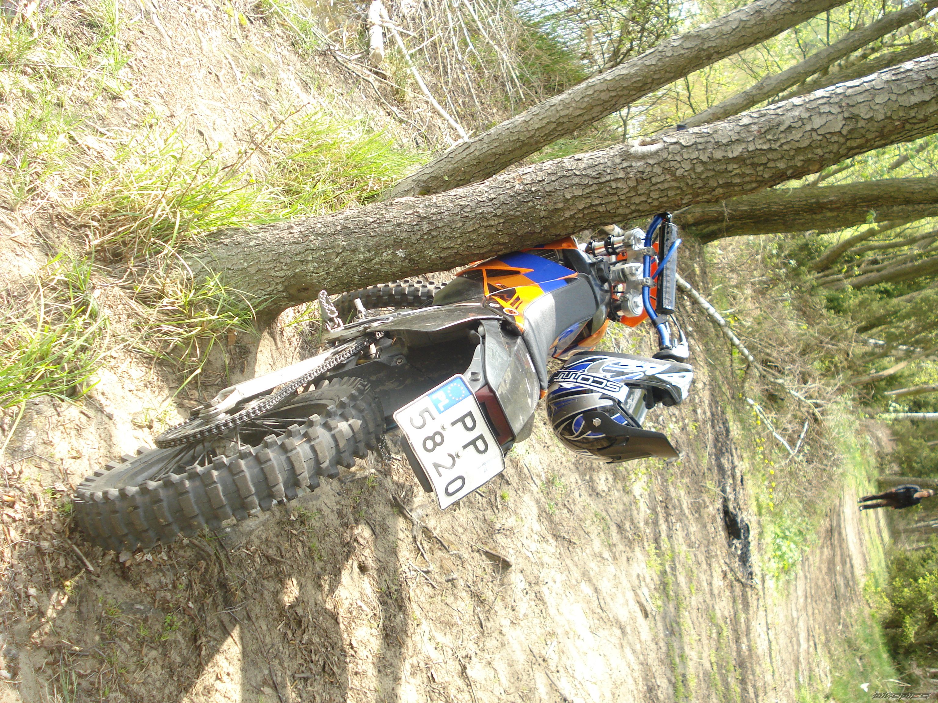Photo 1274436
