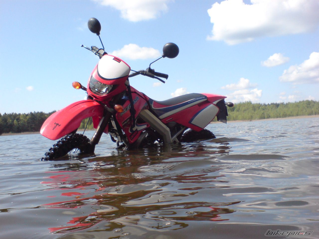 Photo 1274445