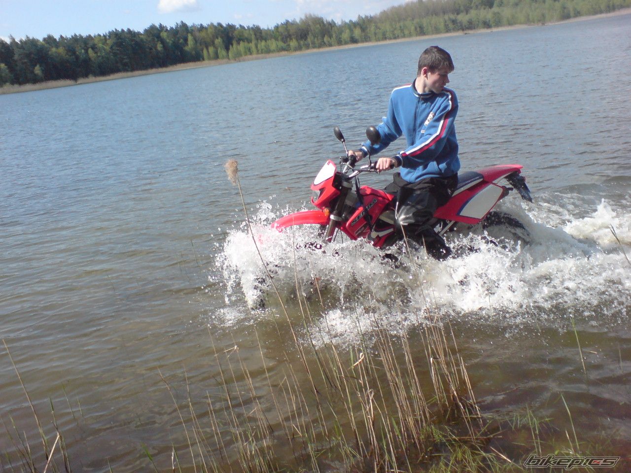 Photo 1274451