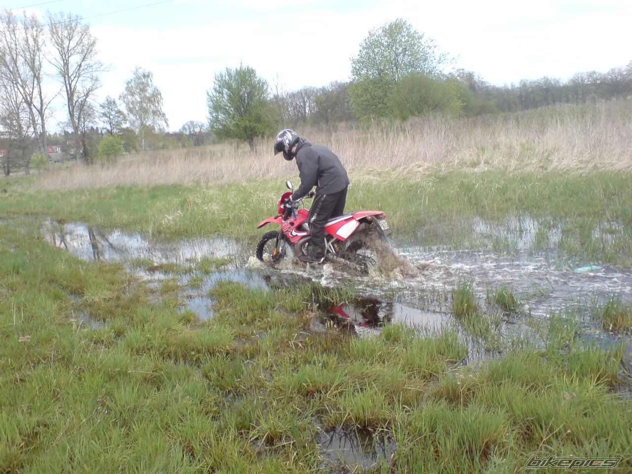 Photo 1274462