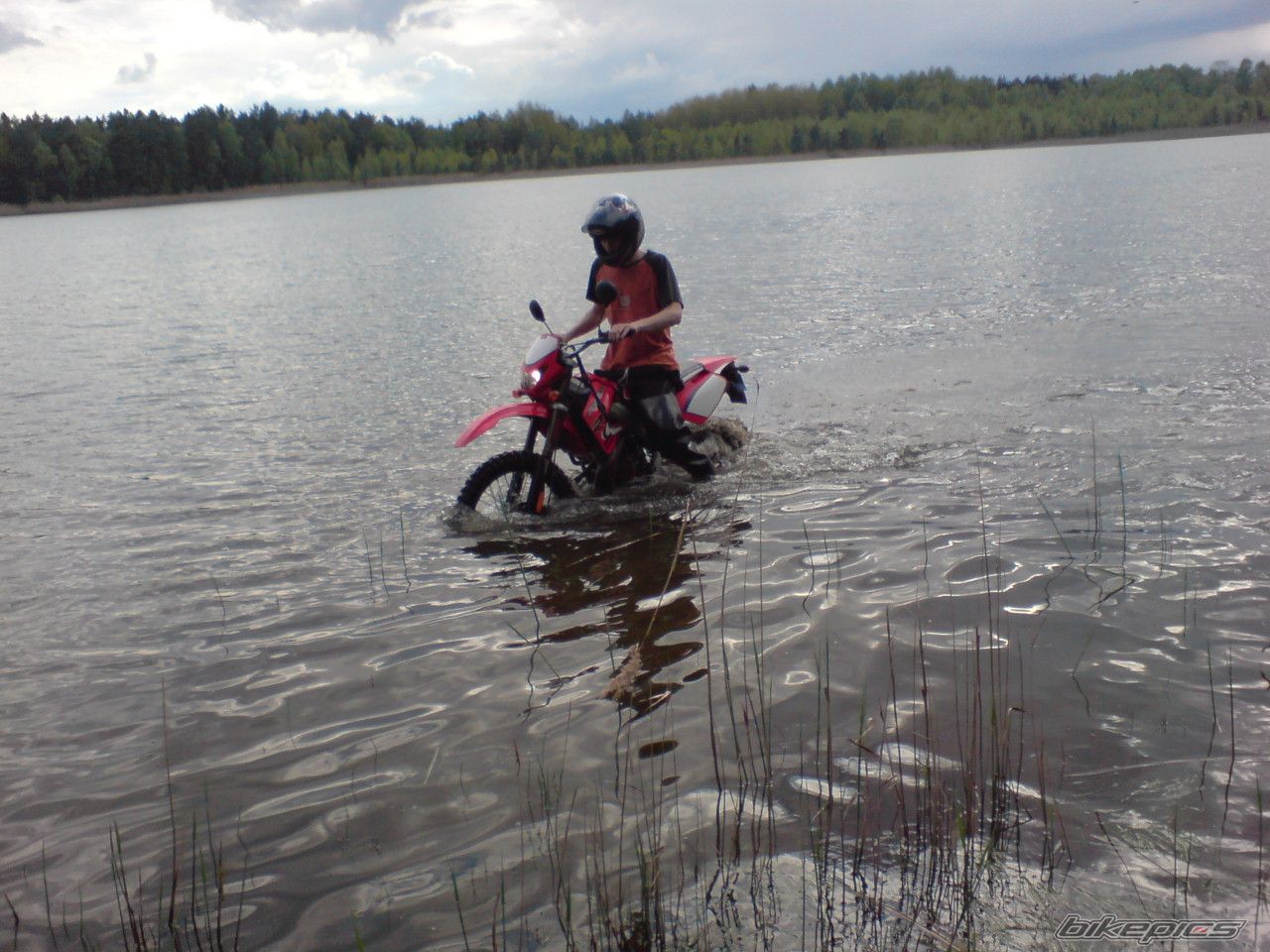 Photo 1274465