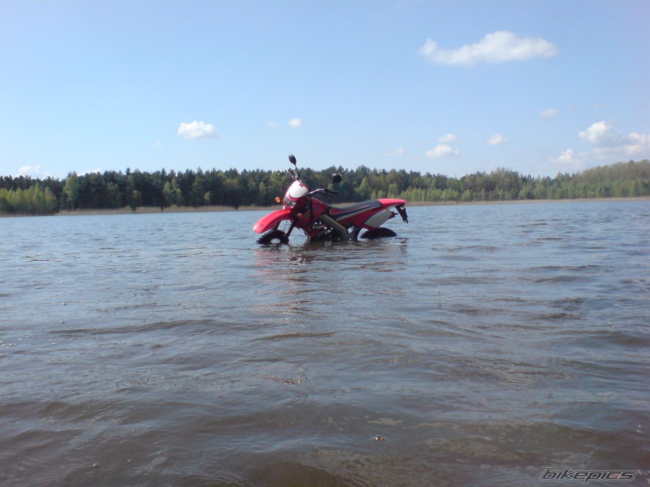 Photo 1274468