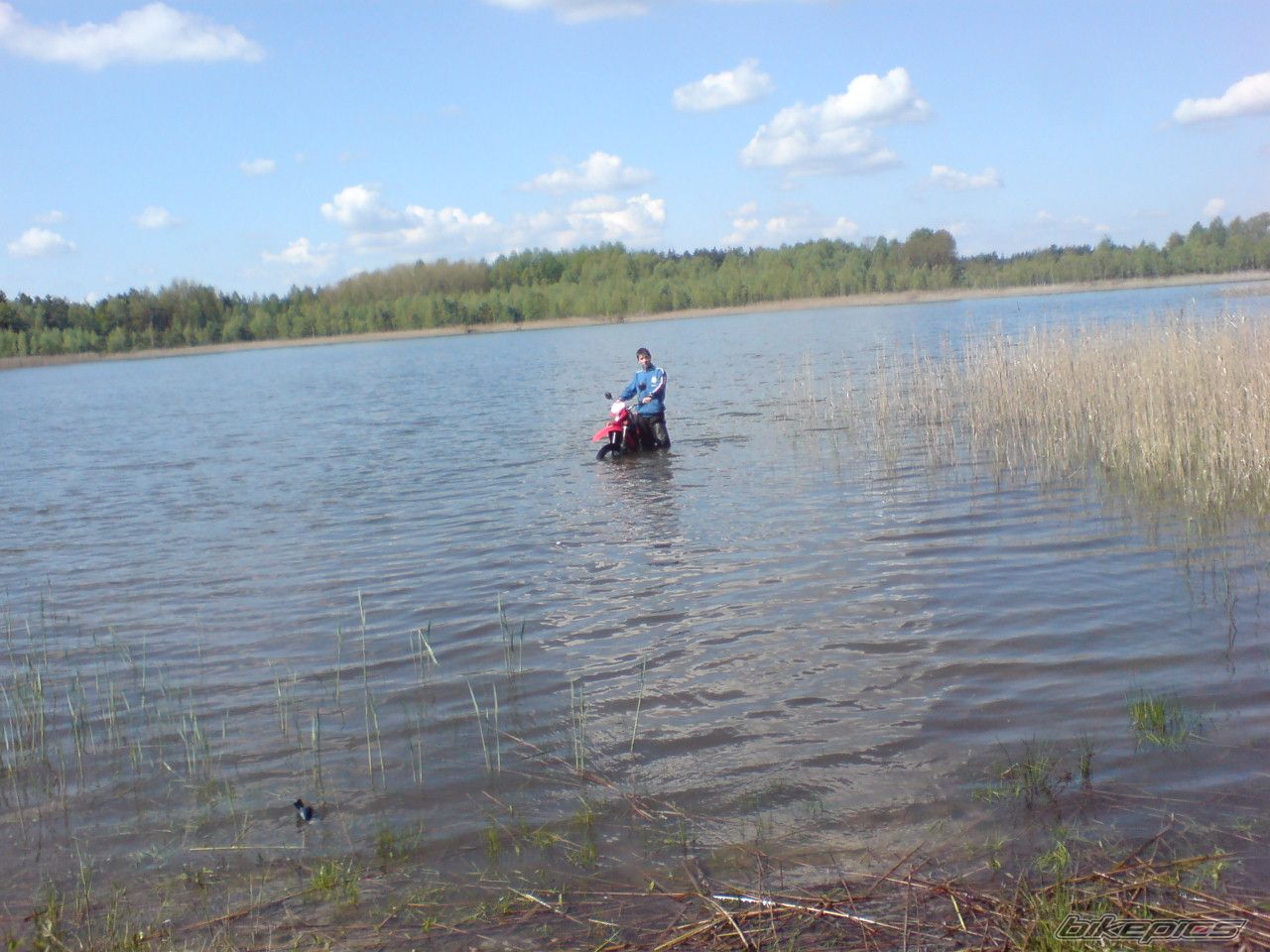 Photo 1274470