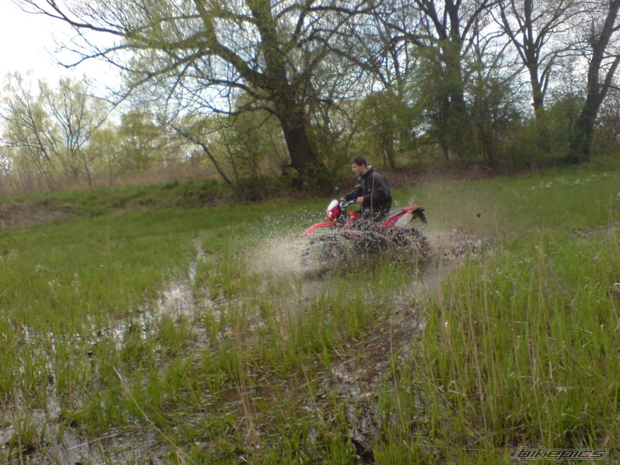 Photo 1274474