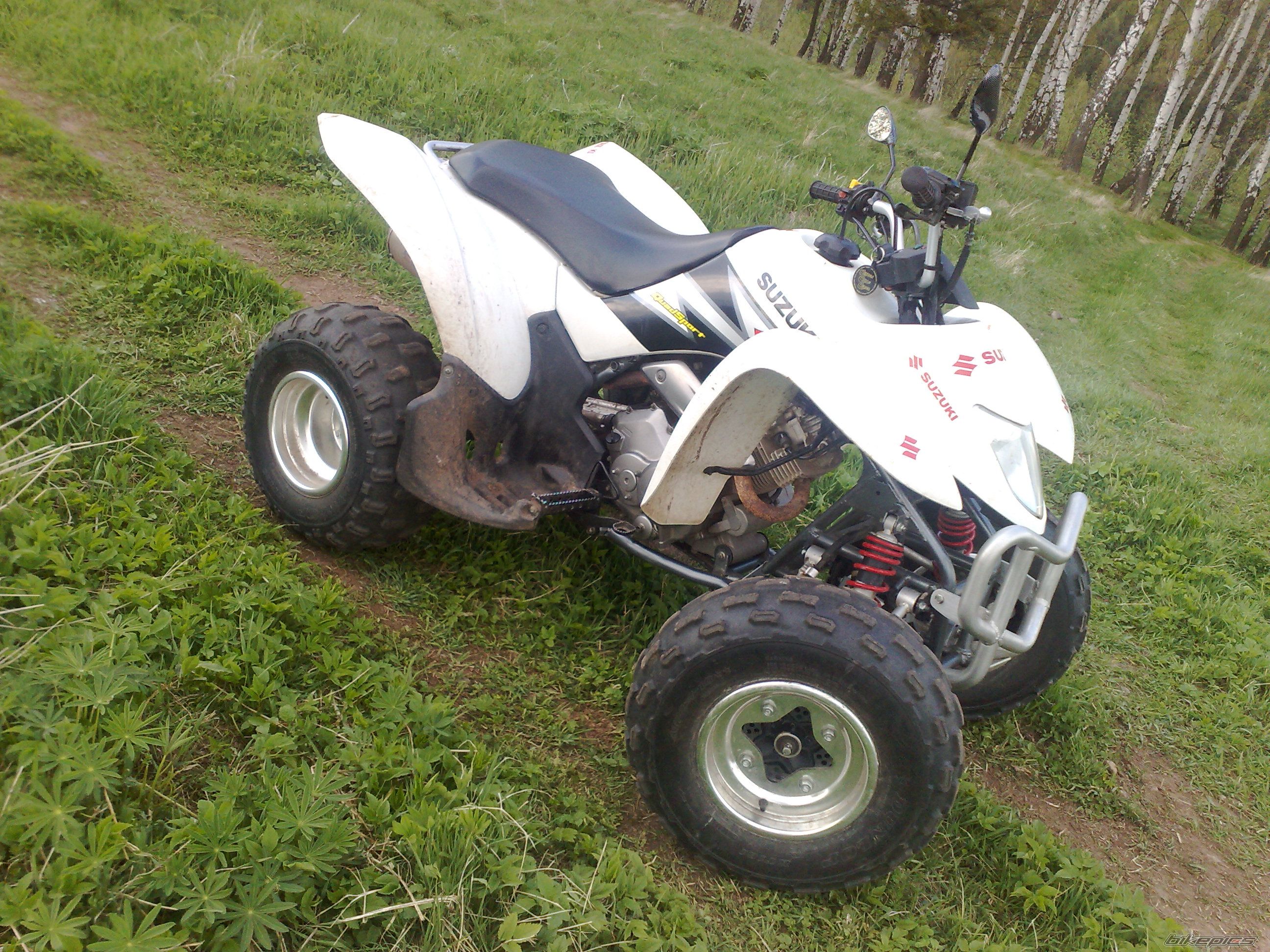 Photo 1274483