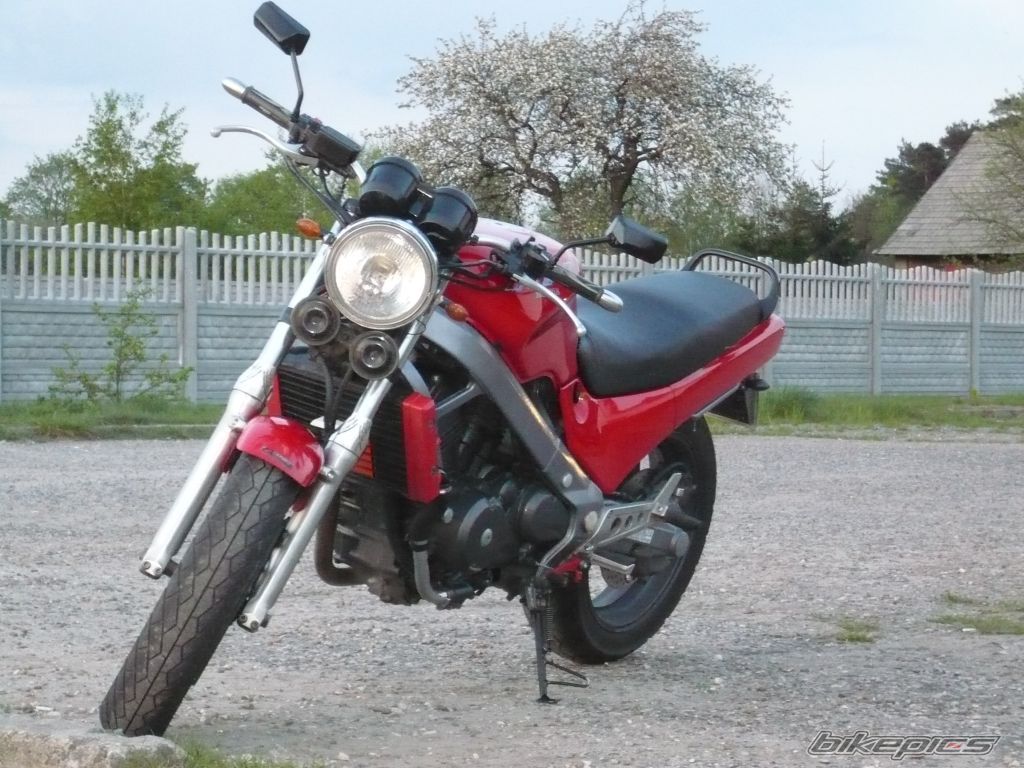 Photo 1274487
