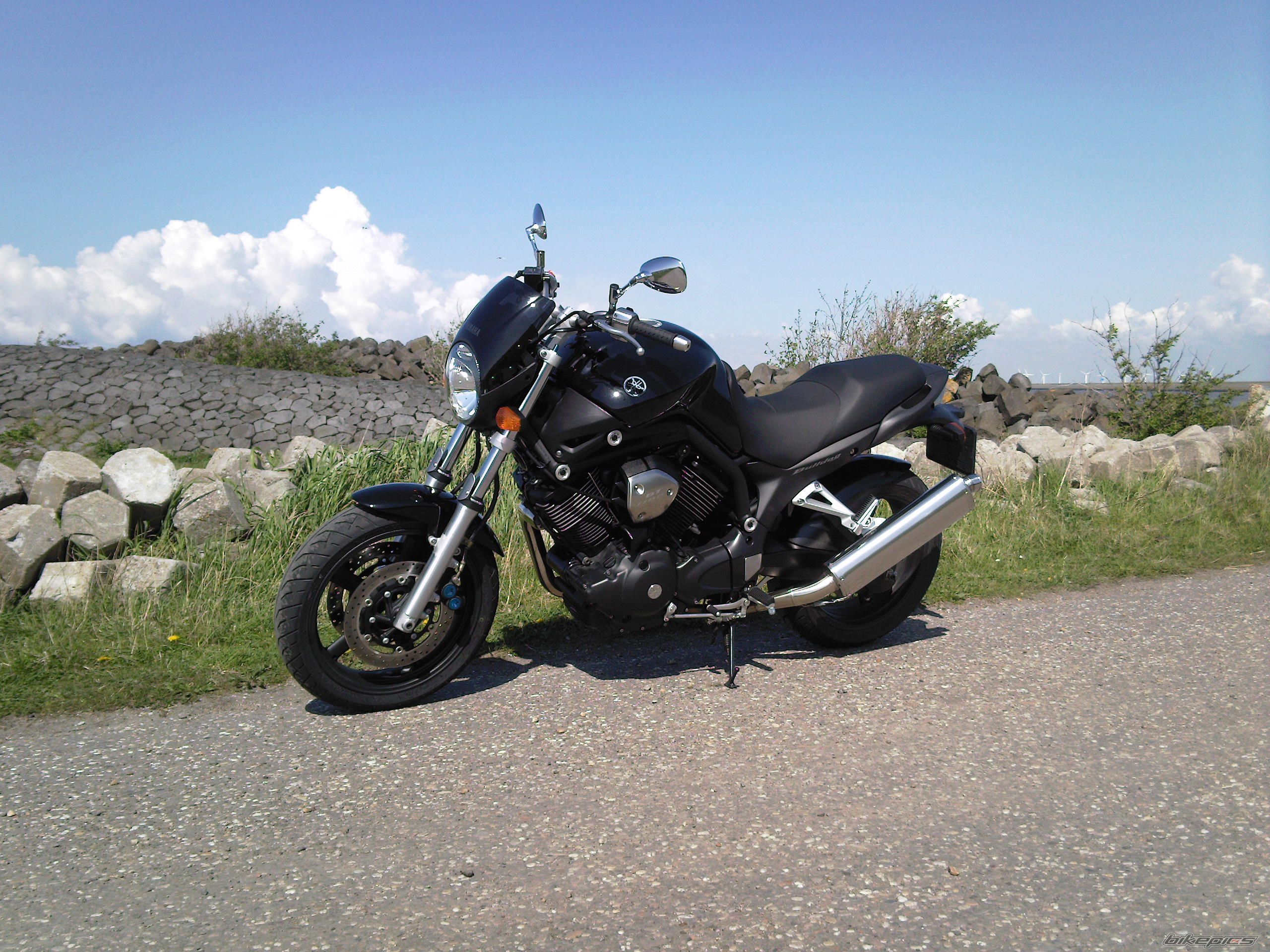 Photo 1274501