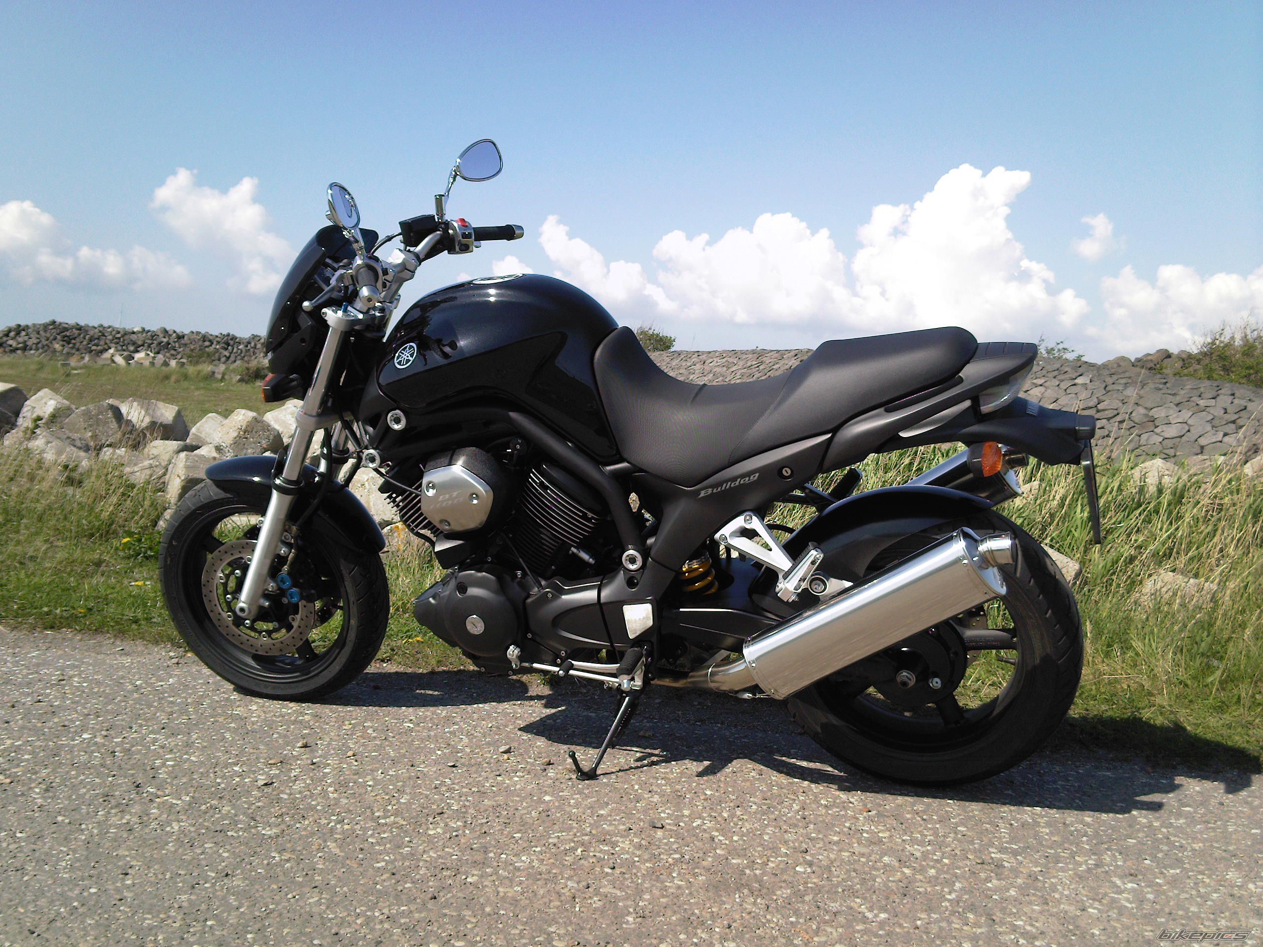 Photo 1274502