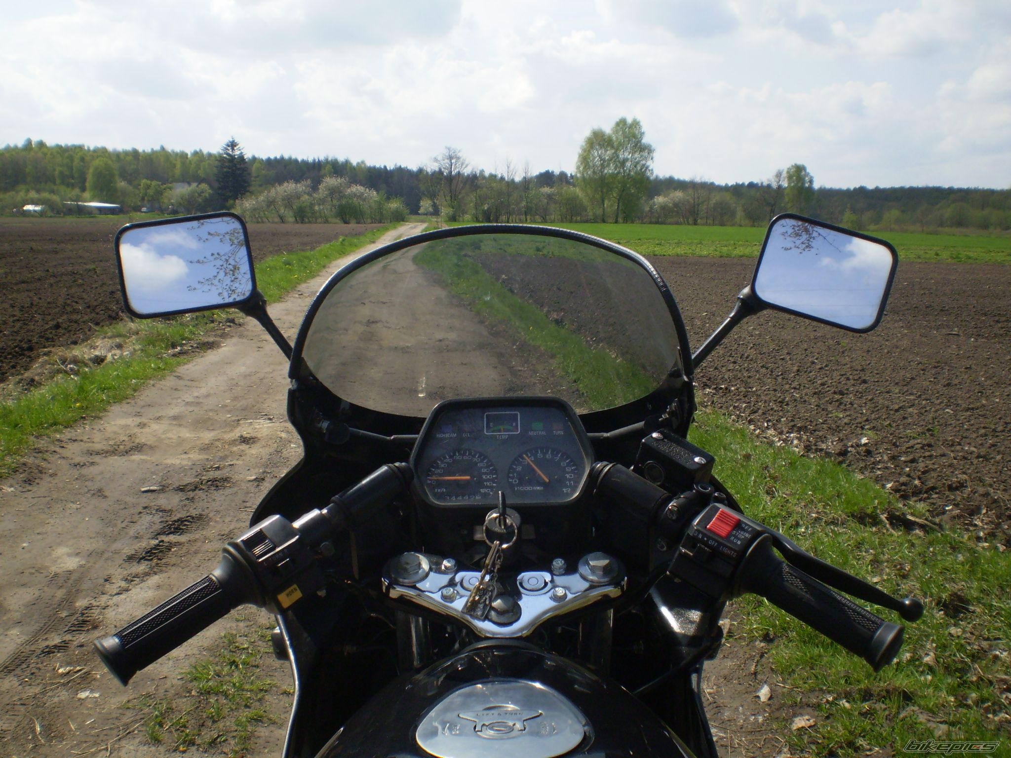 Photo 1274549