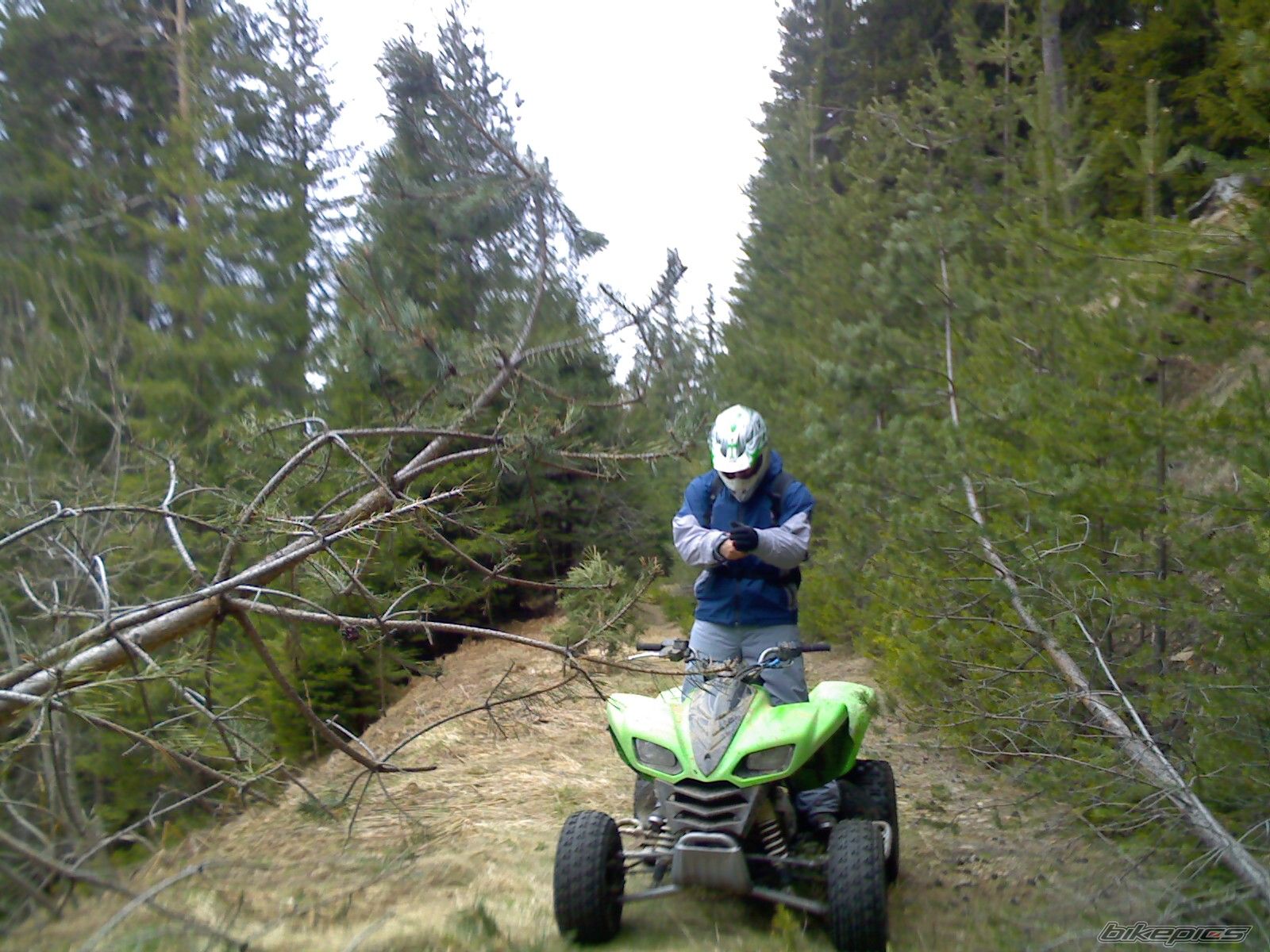 Photo 1274568
