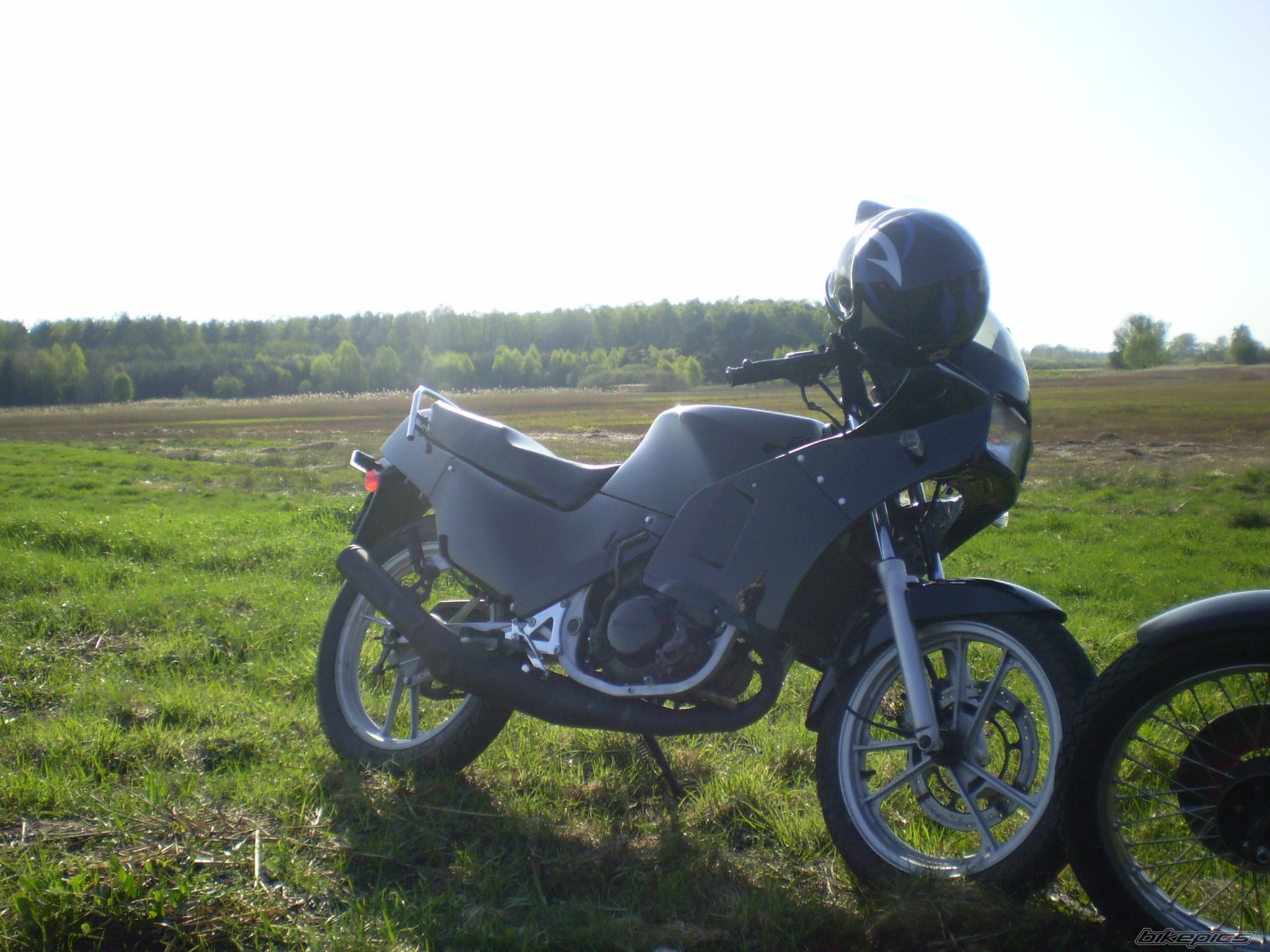Photo 1274575