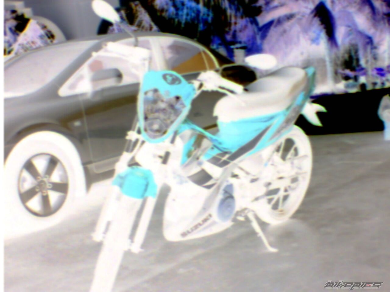 Photo 1274619