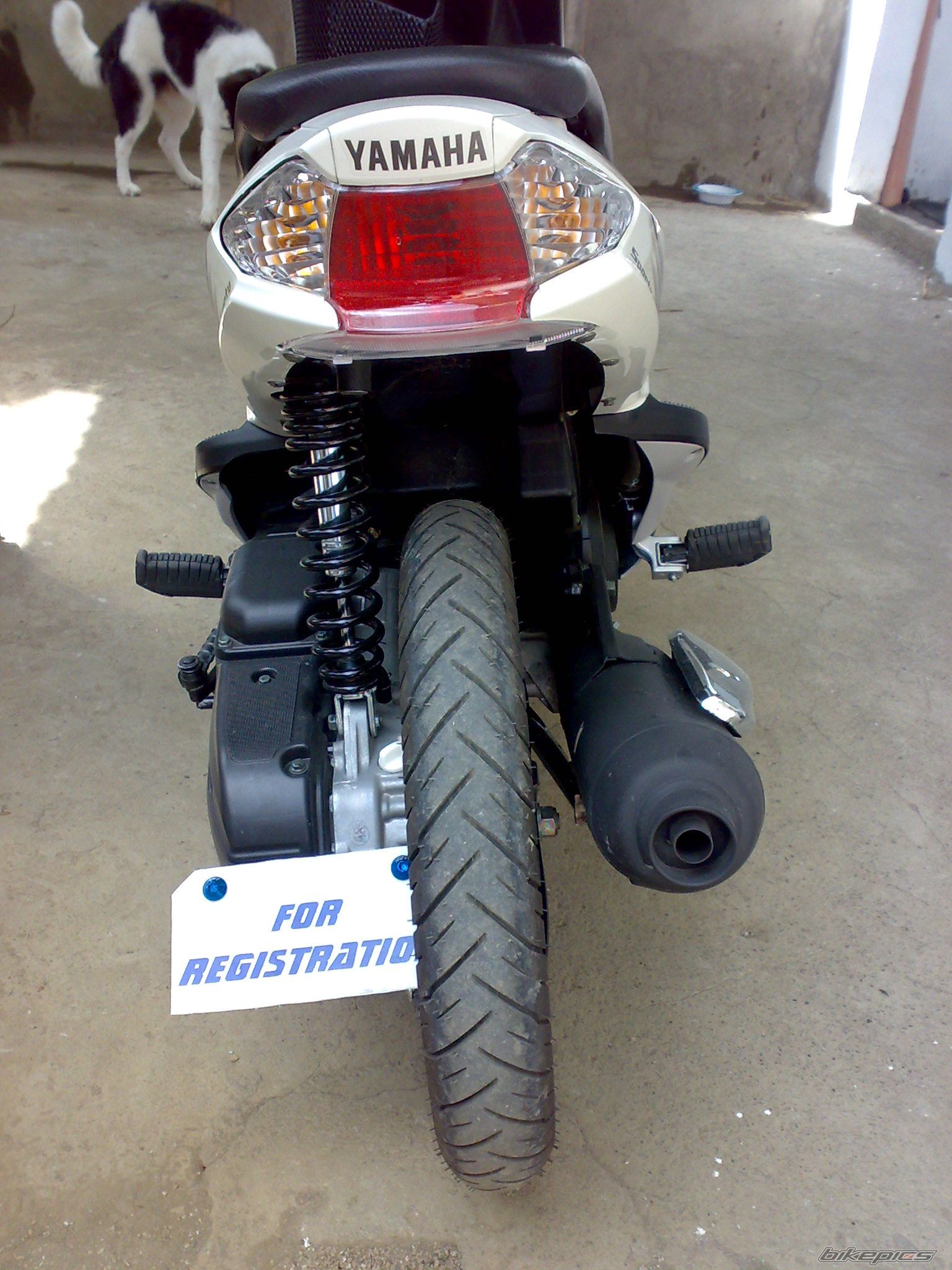 Bike Photo 1274678