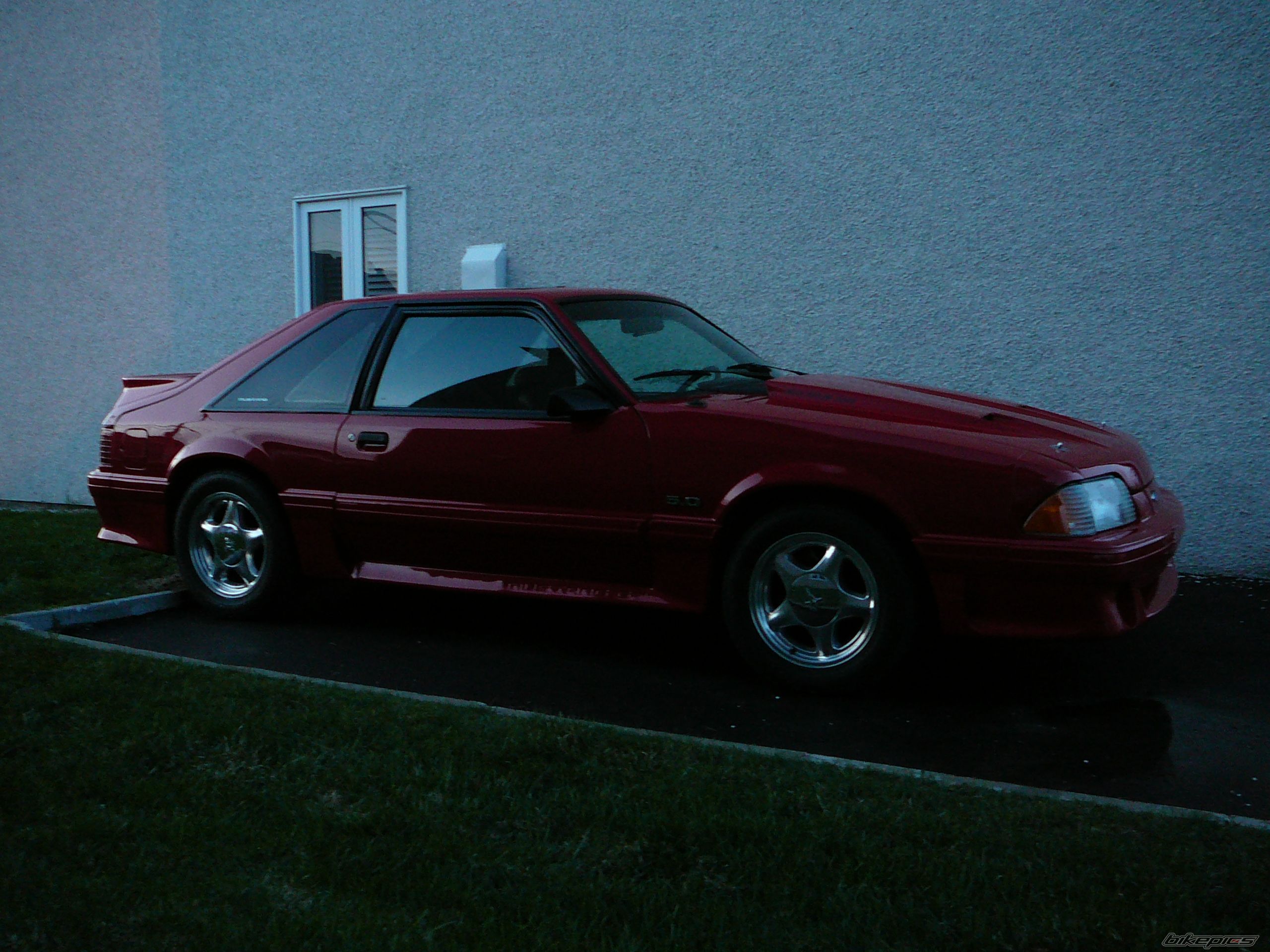 Photo 1274706