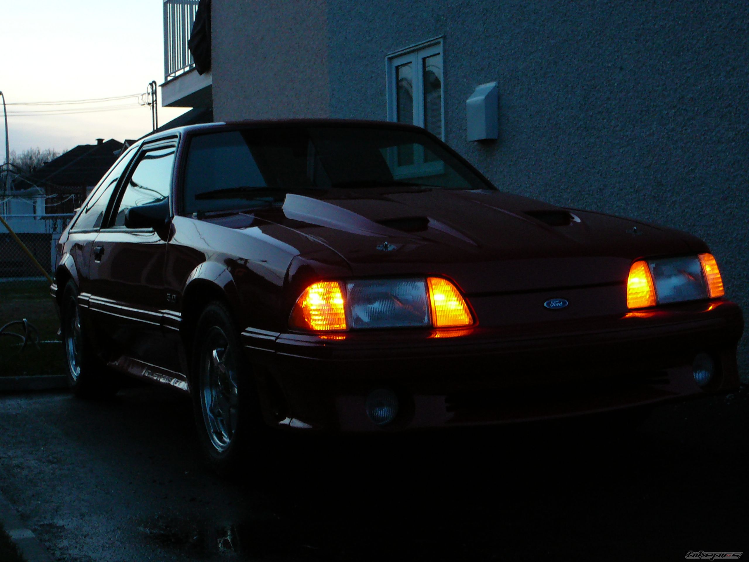 Photo 1274707