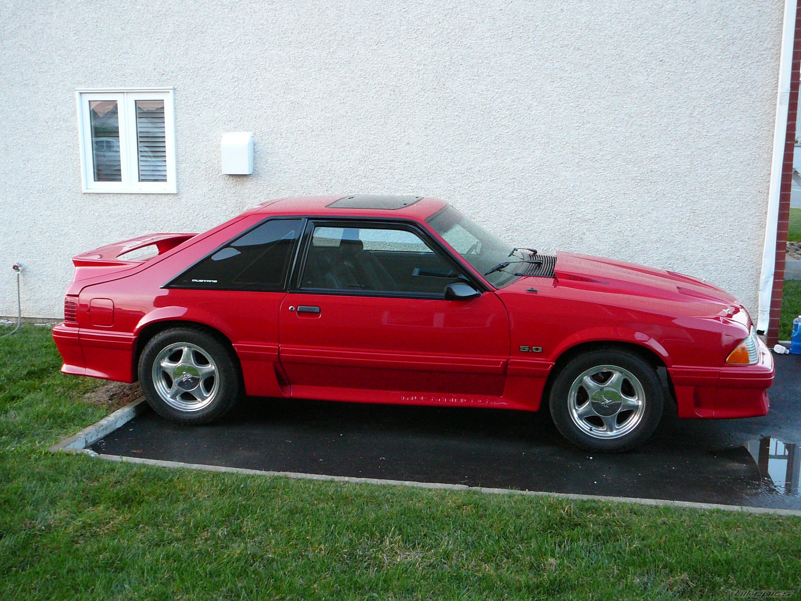 Photo 1274708