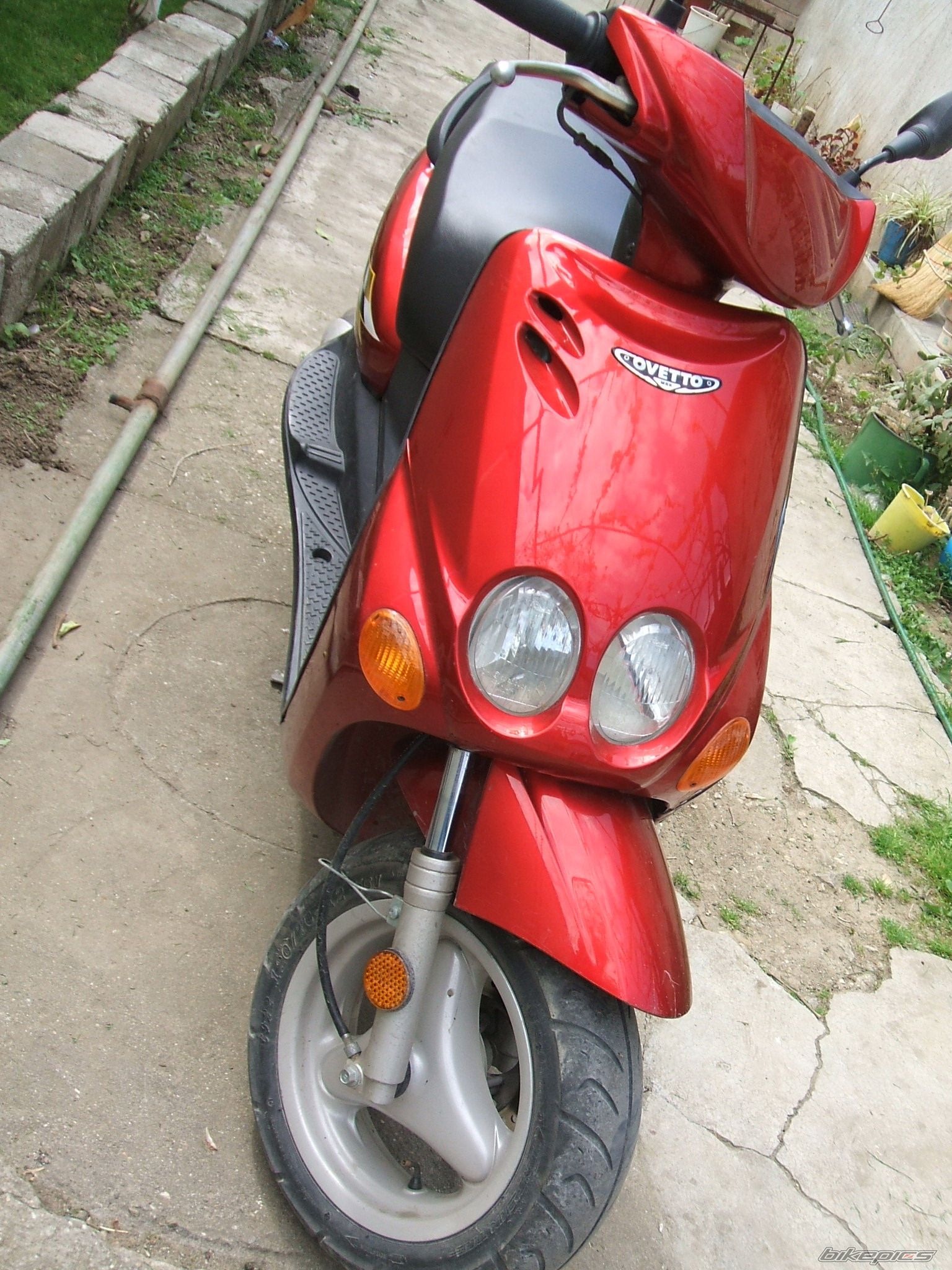 Photo 1274712