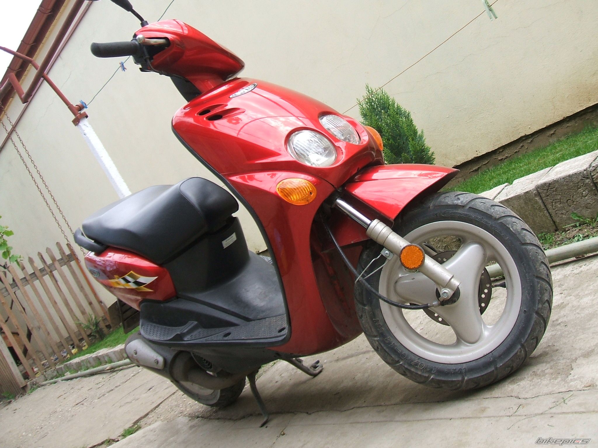 Photo 1274713