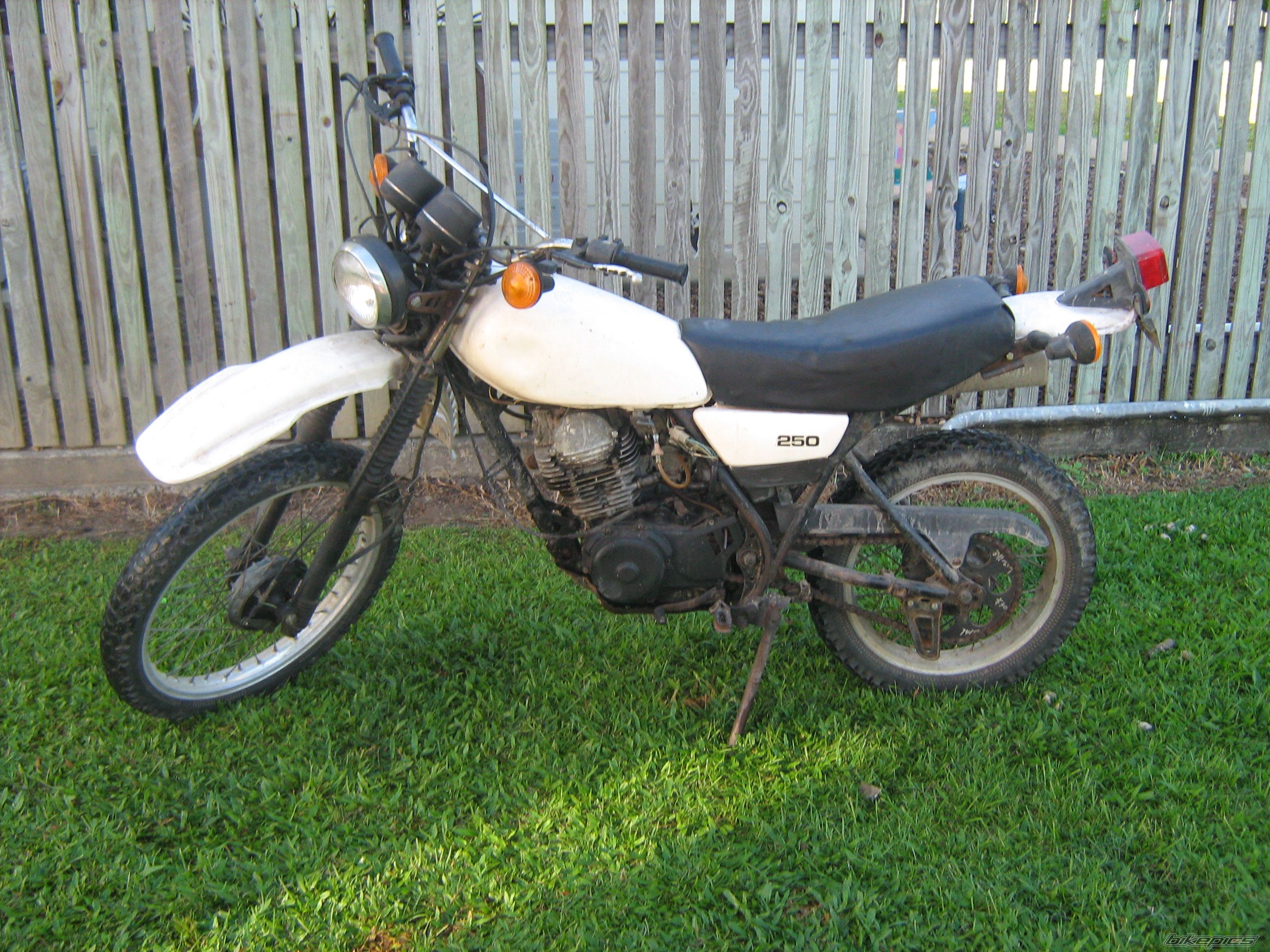 Photo 1274726