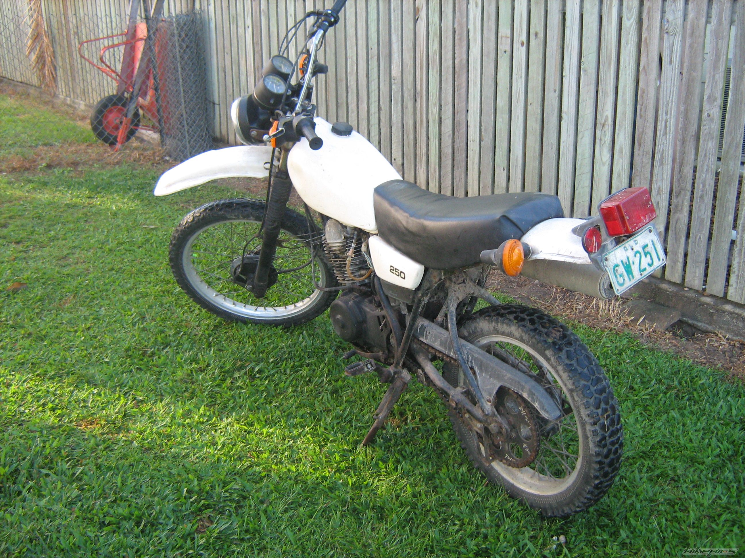 Photo 1274732