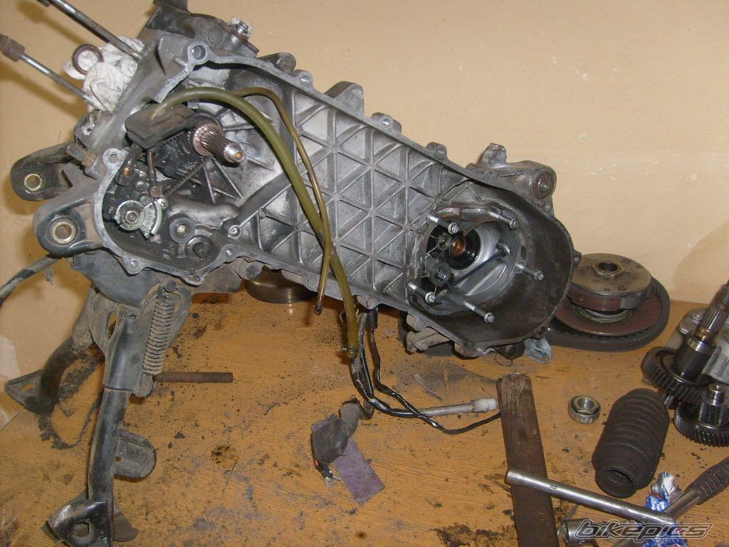 Photo 1274750